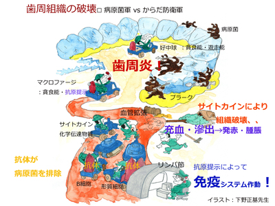 17年8月 アーカイブ 院長ブログ まきの歯科医院 富山県高岡市