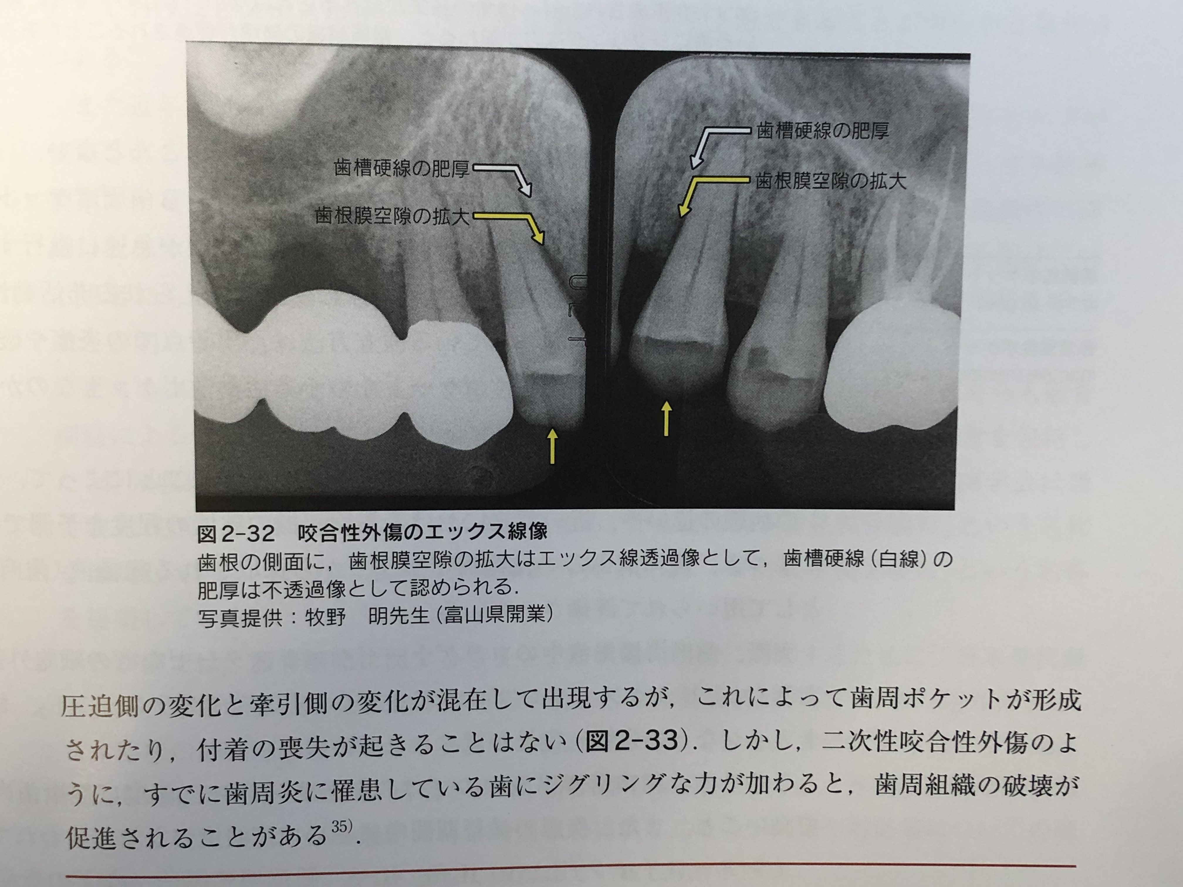 https://www.makino418.com/blog/2022/07/28/A36E96C2-B654-4CBC-A17C-CCA07ADC18B0.jpeg