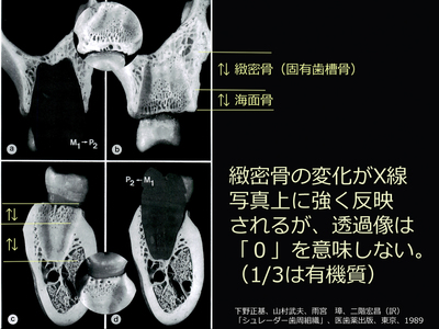 透過像０は？.jpg